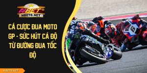 Cá Cược Đua Moto GP