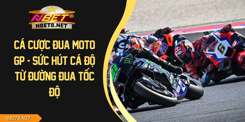 Cá Cược Đua Moto GP