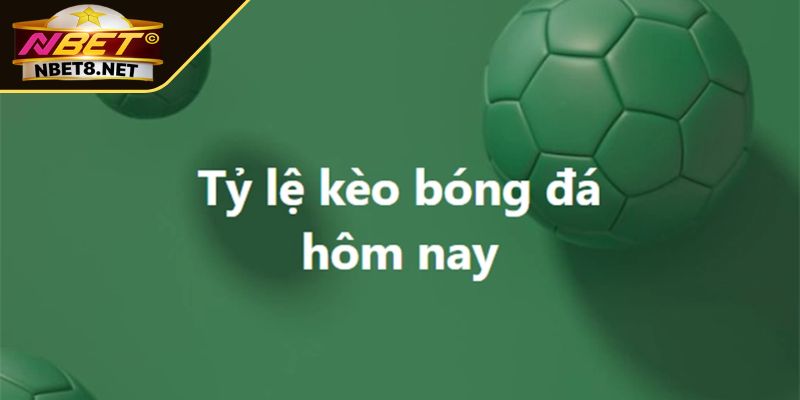 Các loại tỷ lệ kèo NBET phổ biến mà người chơi cần biết
