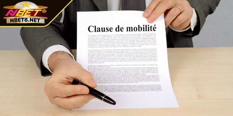 Hiểu đúng về điều khoản điều kiện