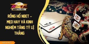 Rồng Hổ NBET