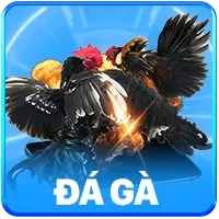 Sảnh Đá Gà